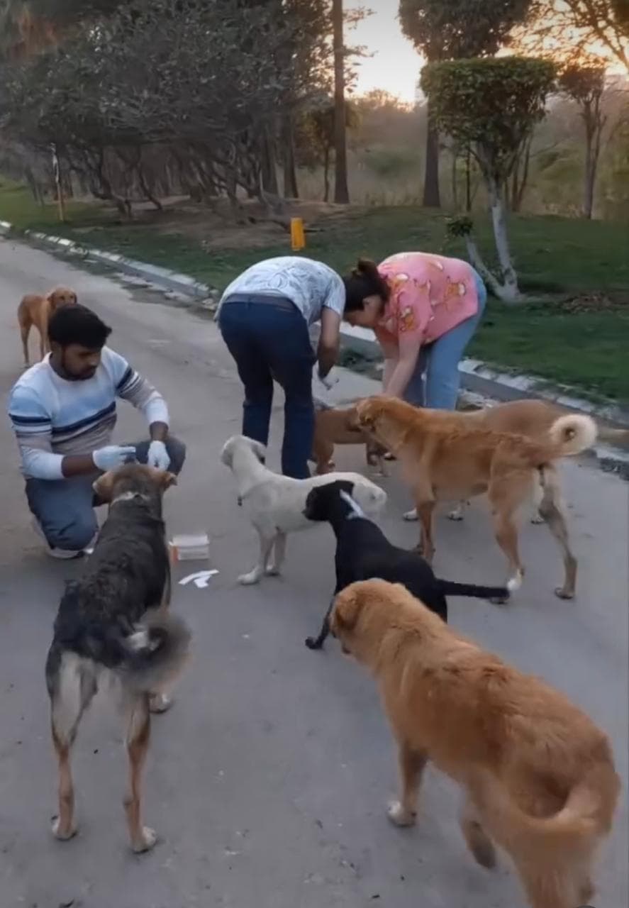 Animal Connect Trust — TESPL CSR initiative