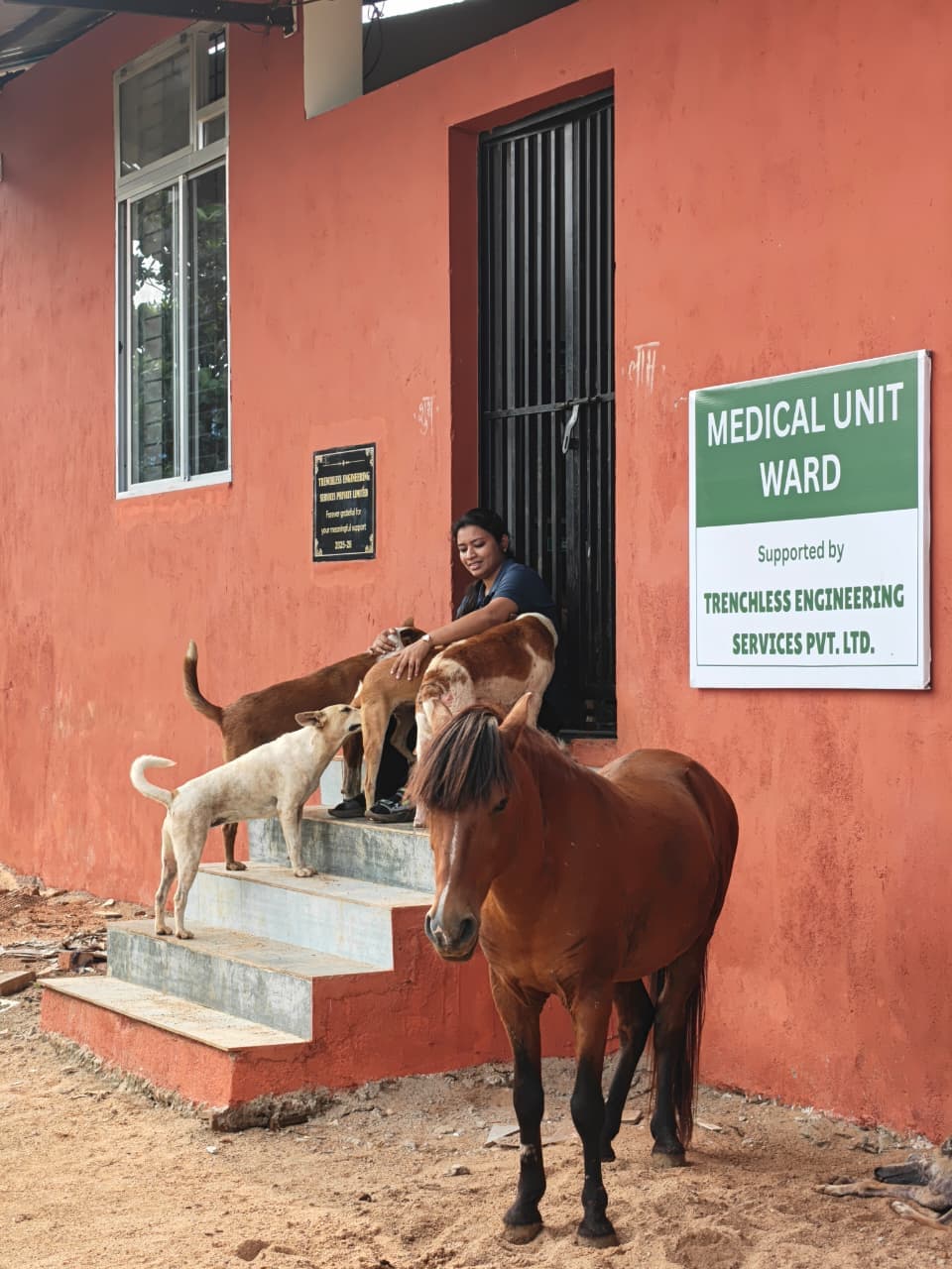 Animals outside the medical unit ward supported by TESPL at Vatika Animal Sanctuary